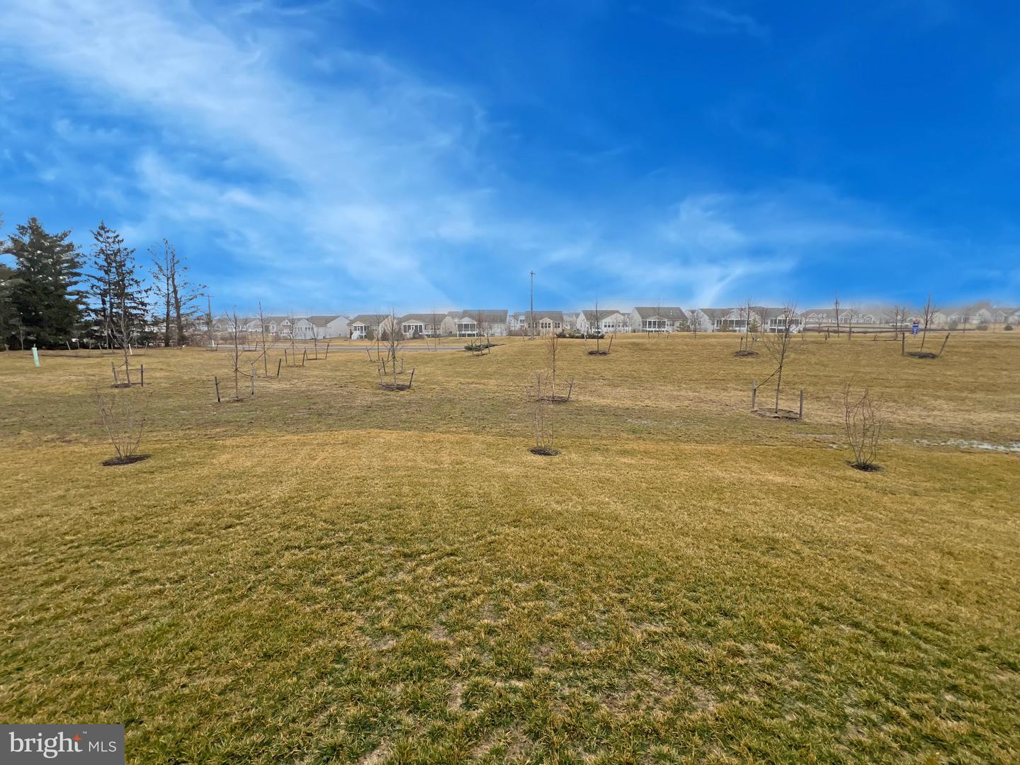 114 Austrian Pine Ct Property Photo 63