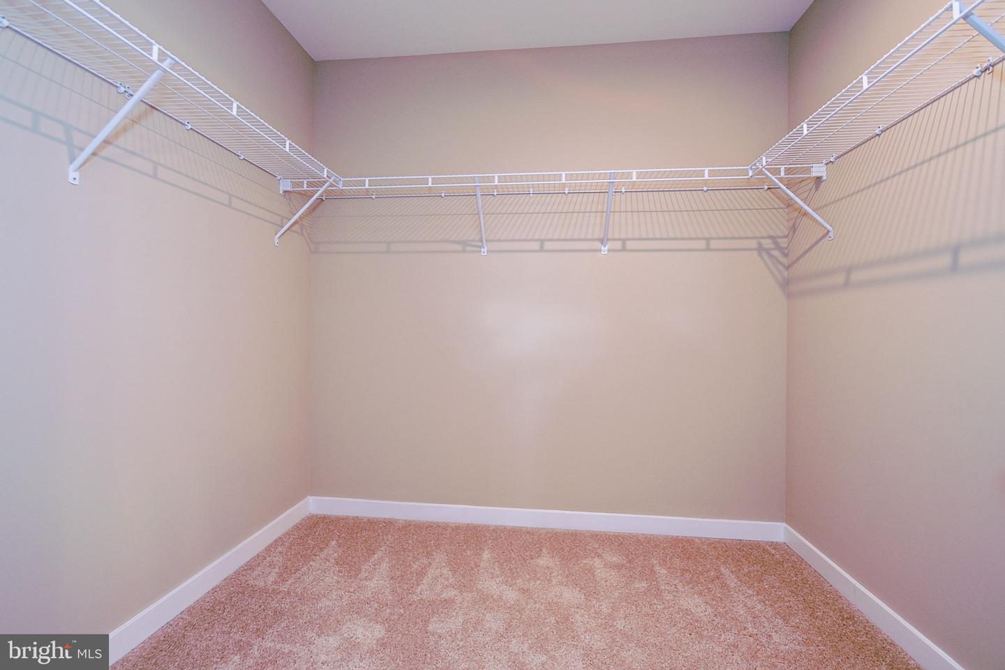 203 Case Rd Property Photo 15