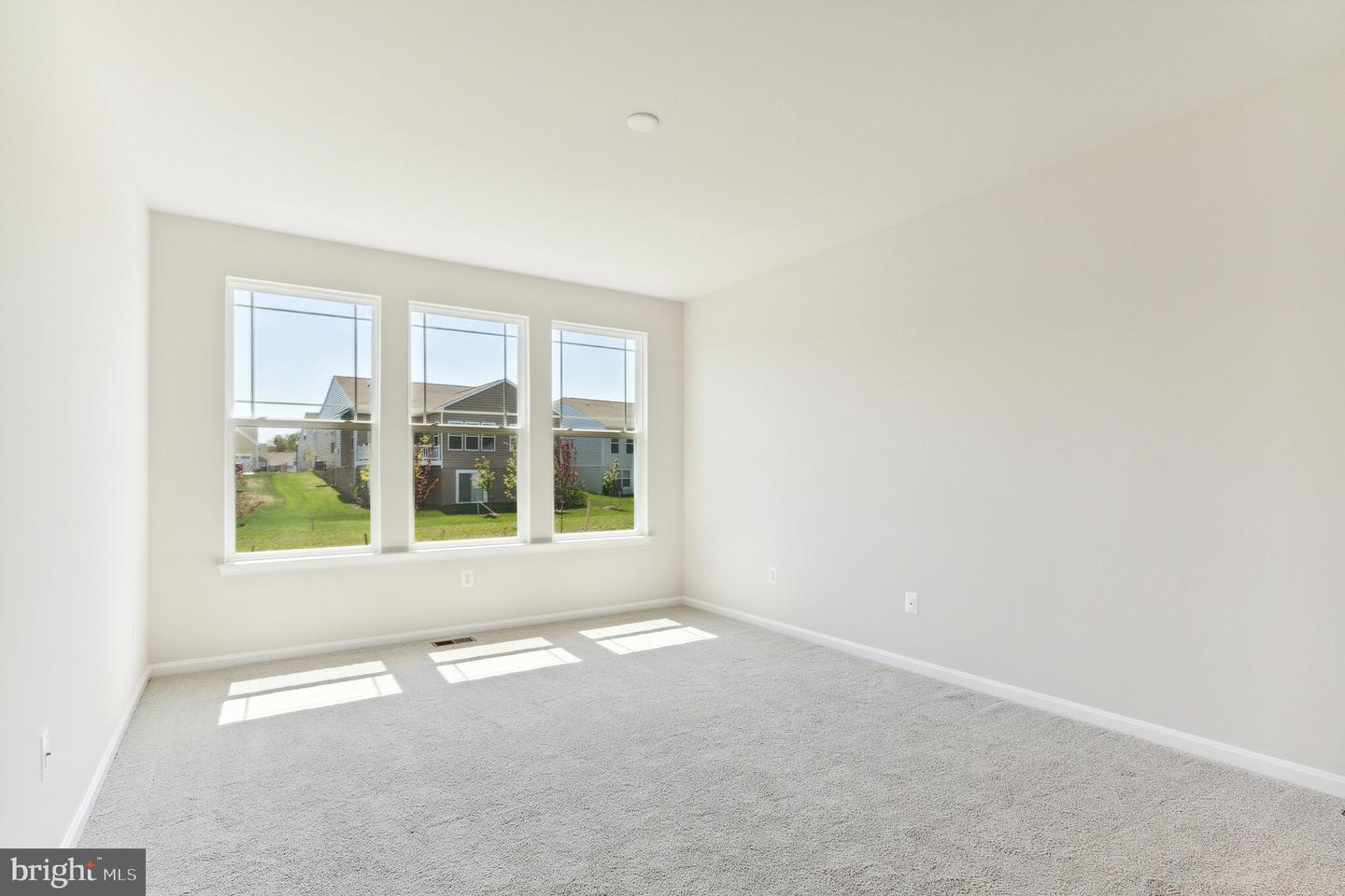 19 Golden Raintree Ct Property Photo 10