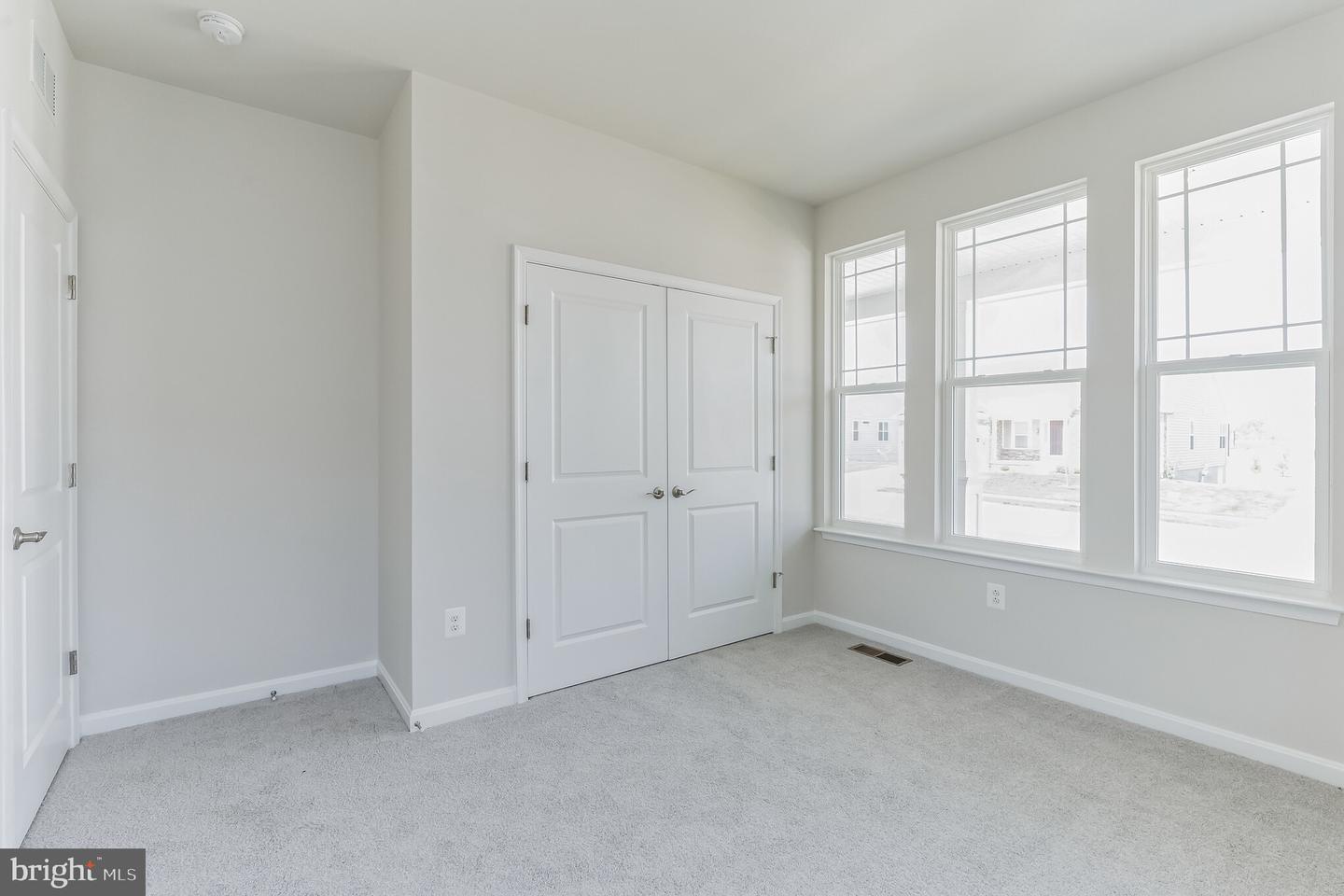 19 Golden Raintree Ct Property Photo 14