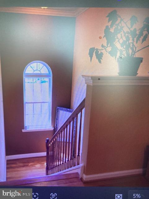 609 Ravenglass Dr Property Photo 15
