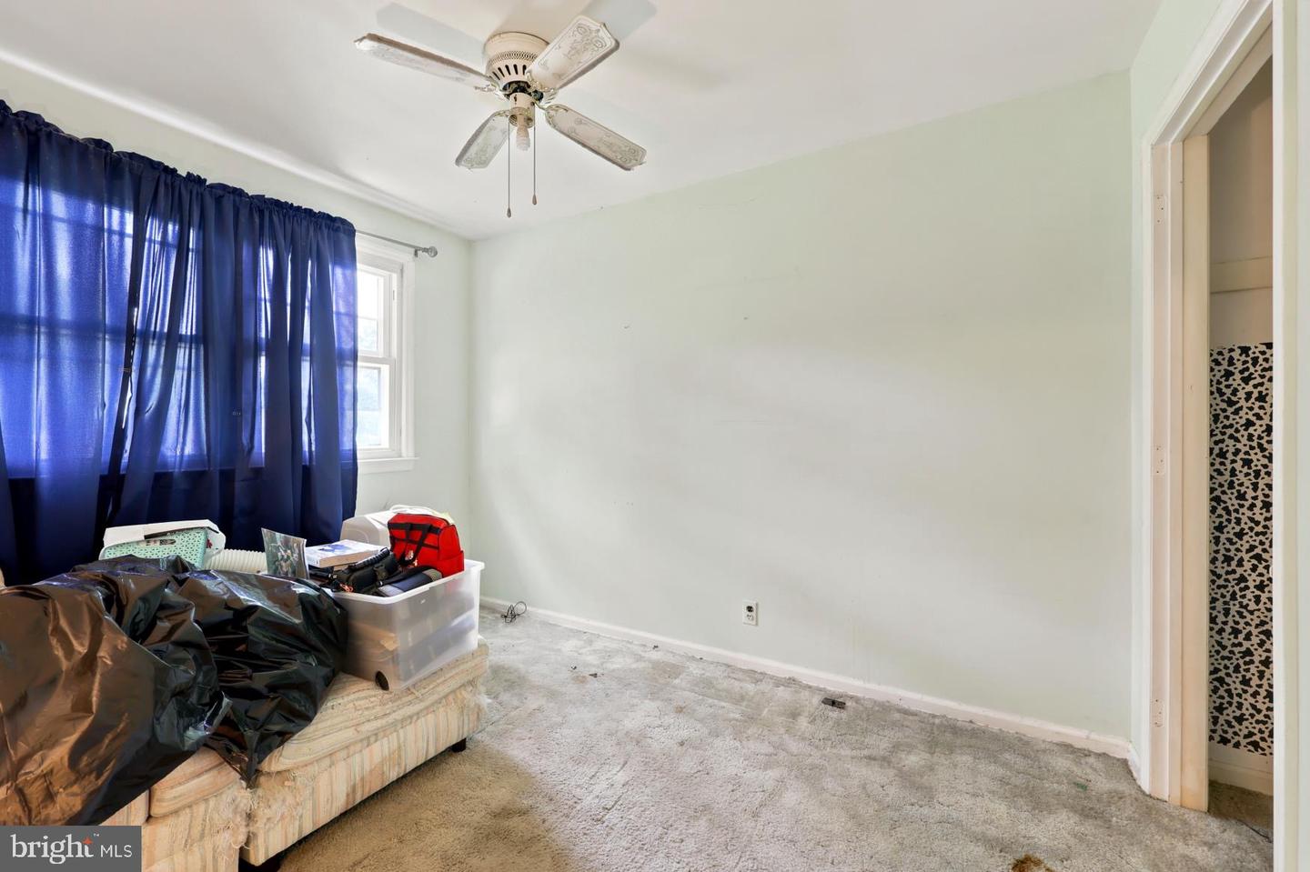 155 Casimir Property Photo 10