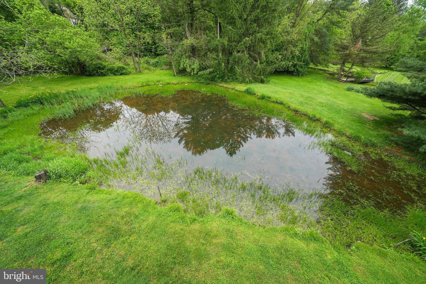 43 Bridleshire Property Photo 15