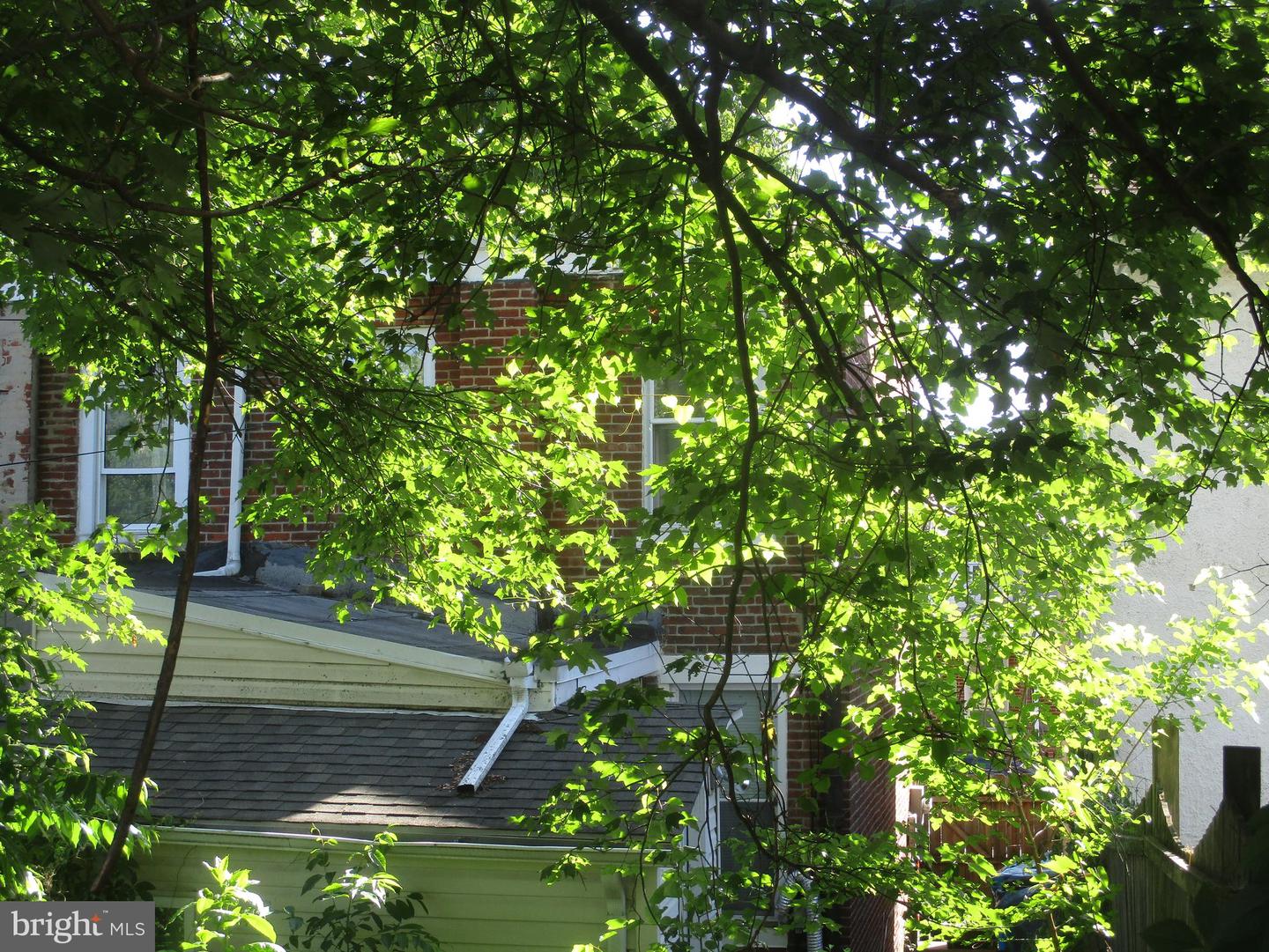 106 Cedar St Property Photo 4