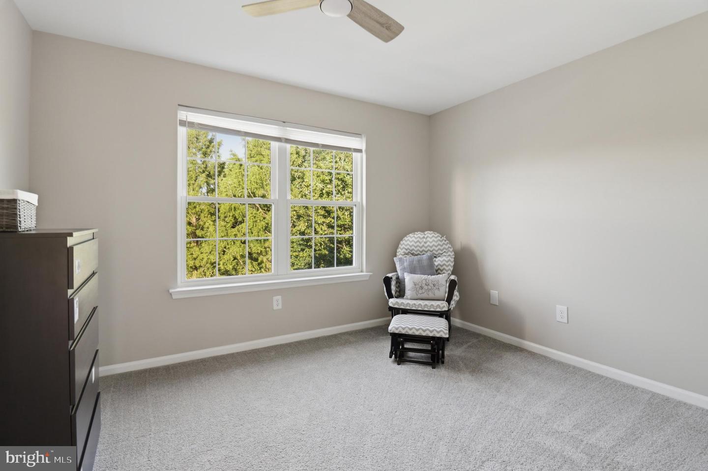 21 Canary Ct Property Photo 53
