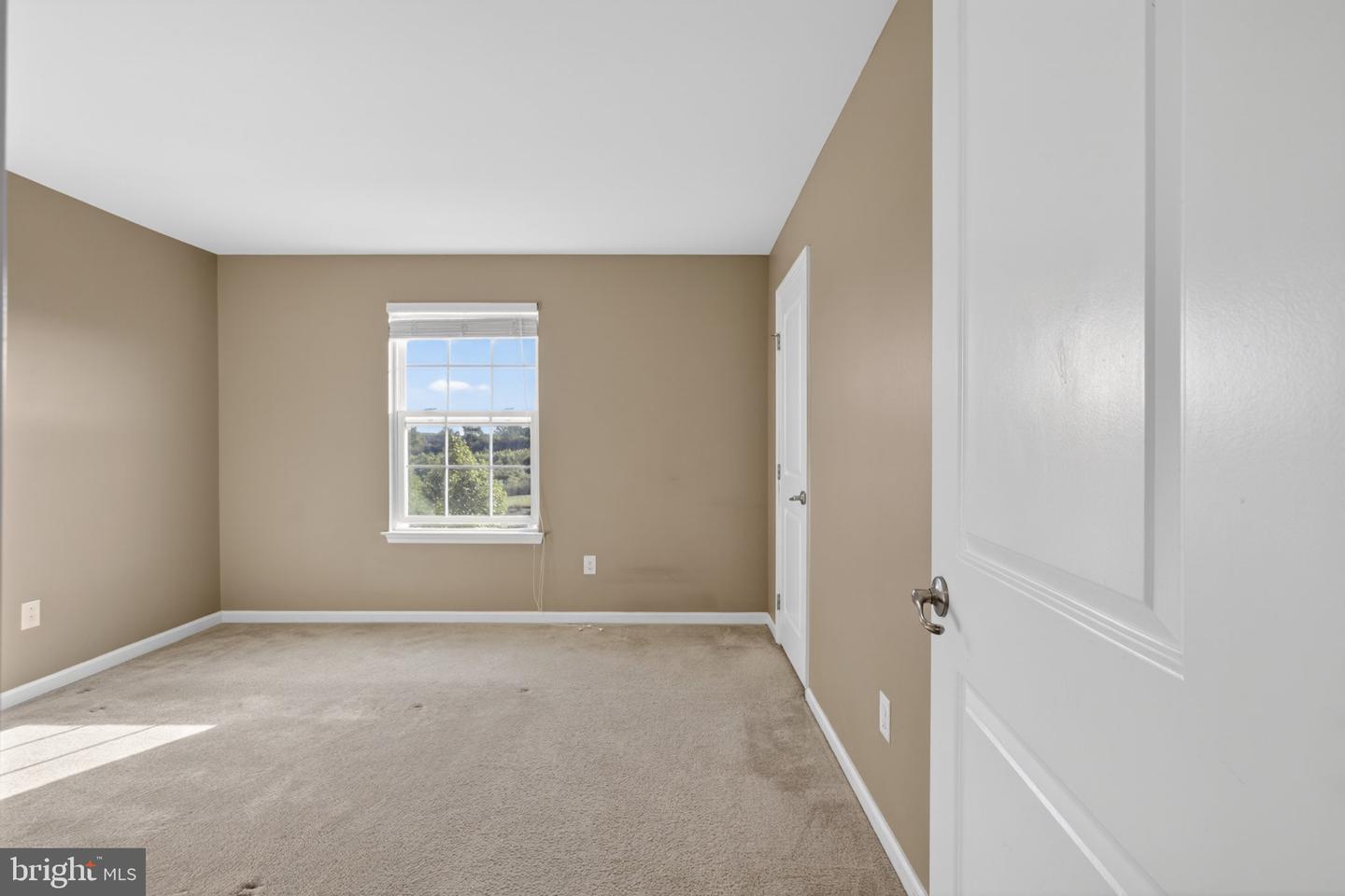 372 Tiger Lily Dr Property Photo 34
