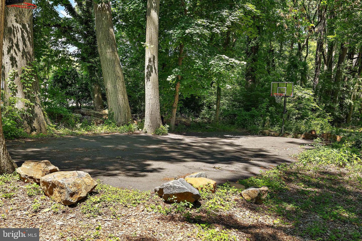 37 Paxon Dr Property Photo 19