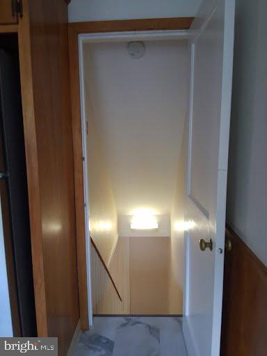 1407 Beech St Property Photo 14
