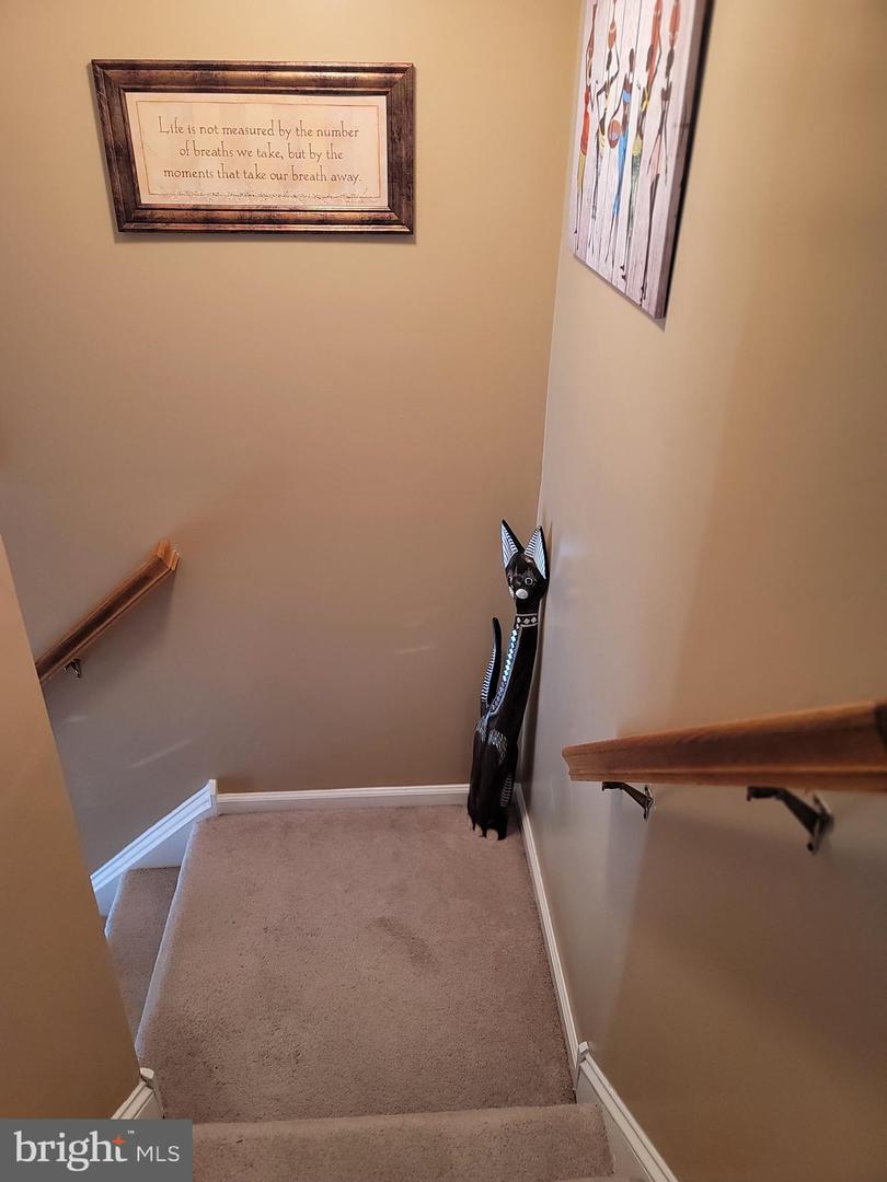 5 Carrick Ln Property Photo 29