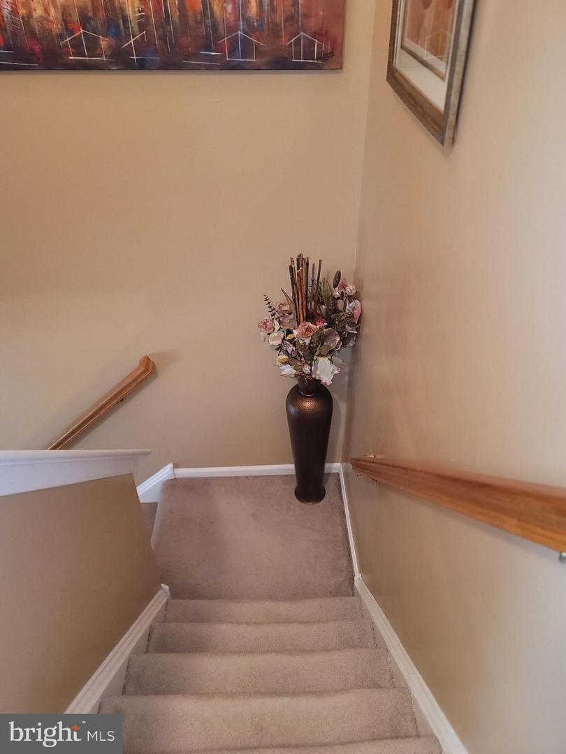 5 Carrick Ln Property Photo 45