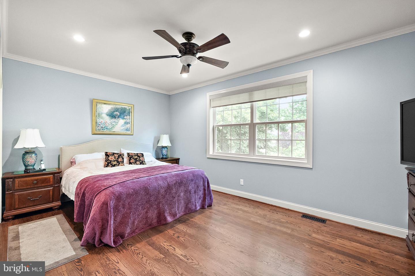 1 Alfred Court Property Photo 41