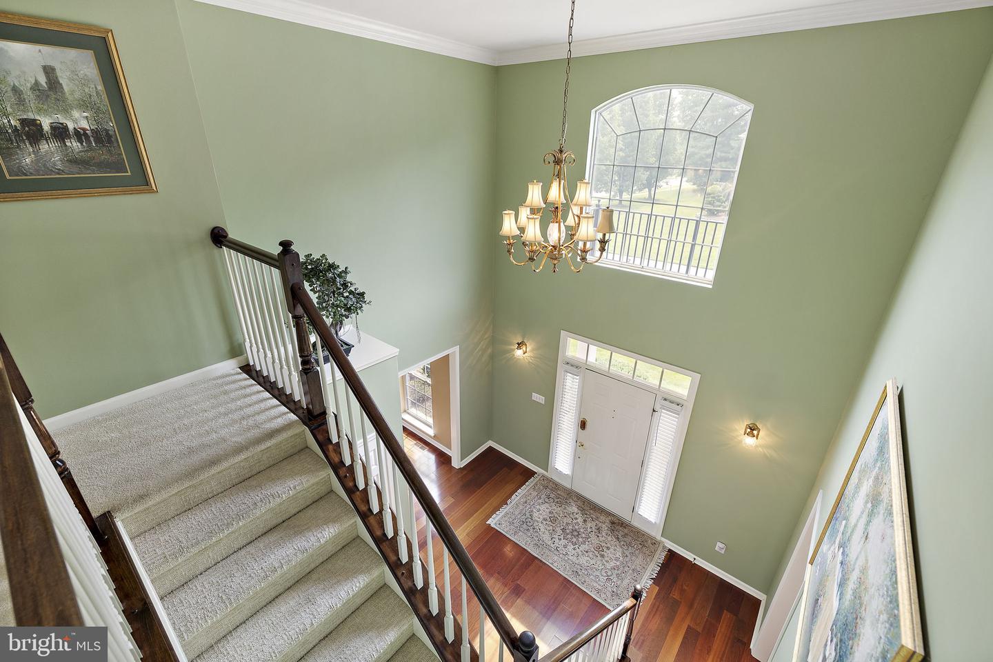 1 Alfred Court Property Photo 47