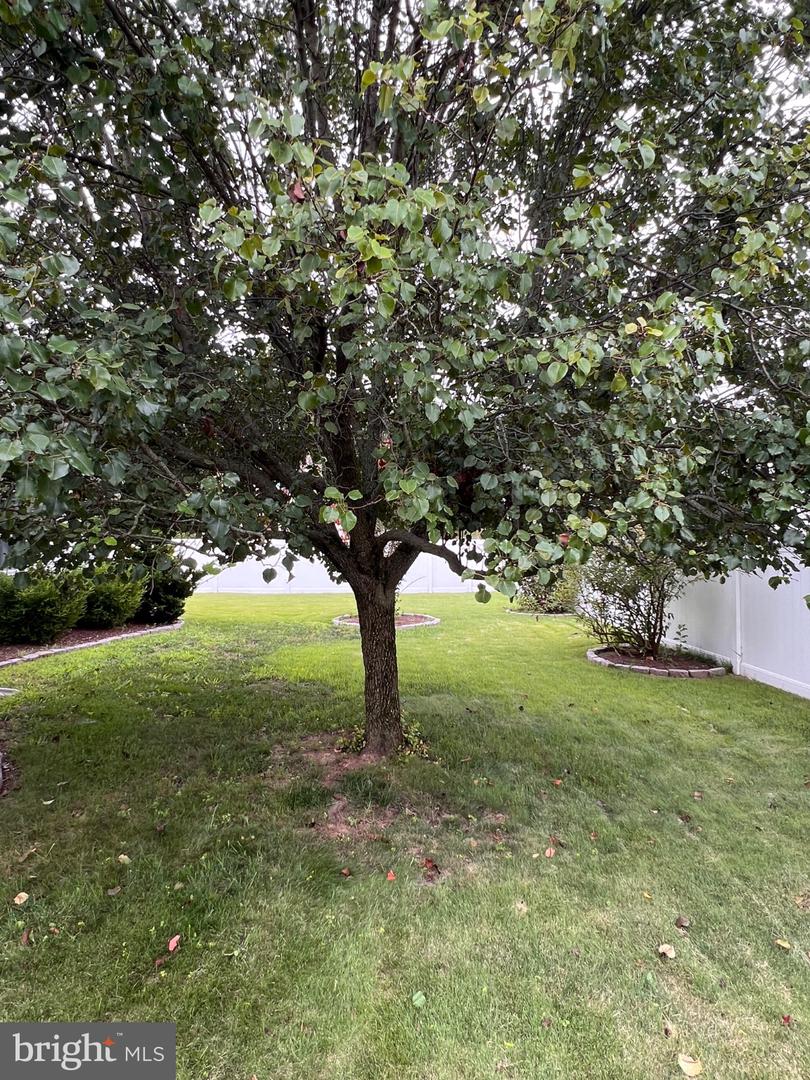 8 Rose Ter Property Photo 42