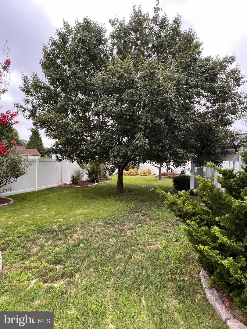 8 Rose Ter Property Photo 49
