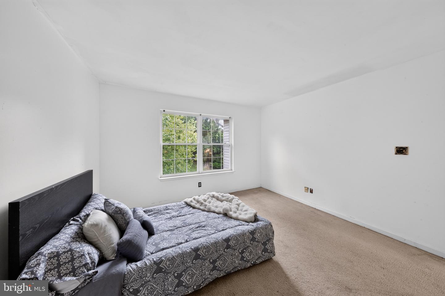 38 Montague Rd Property Photo 25