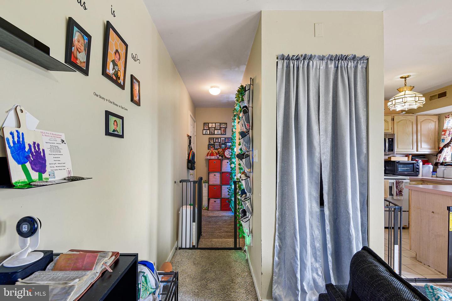 153 Paladin Dr #153 Property Photo 12