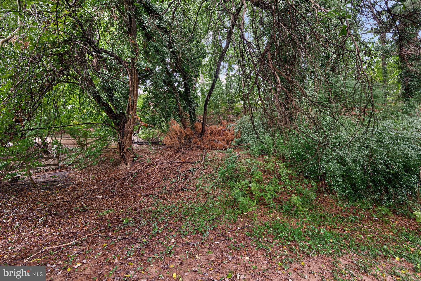 4707 Mermaid Blvd Property Photo 41