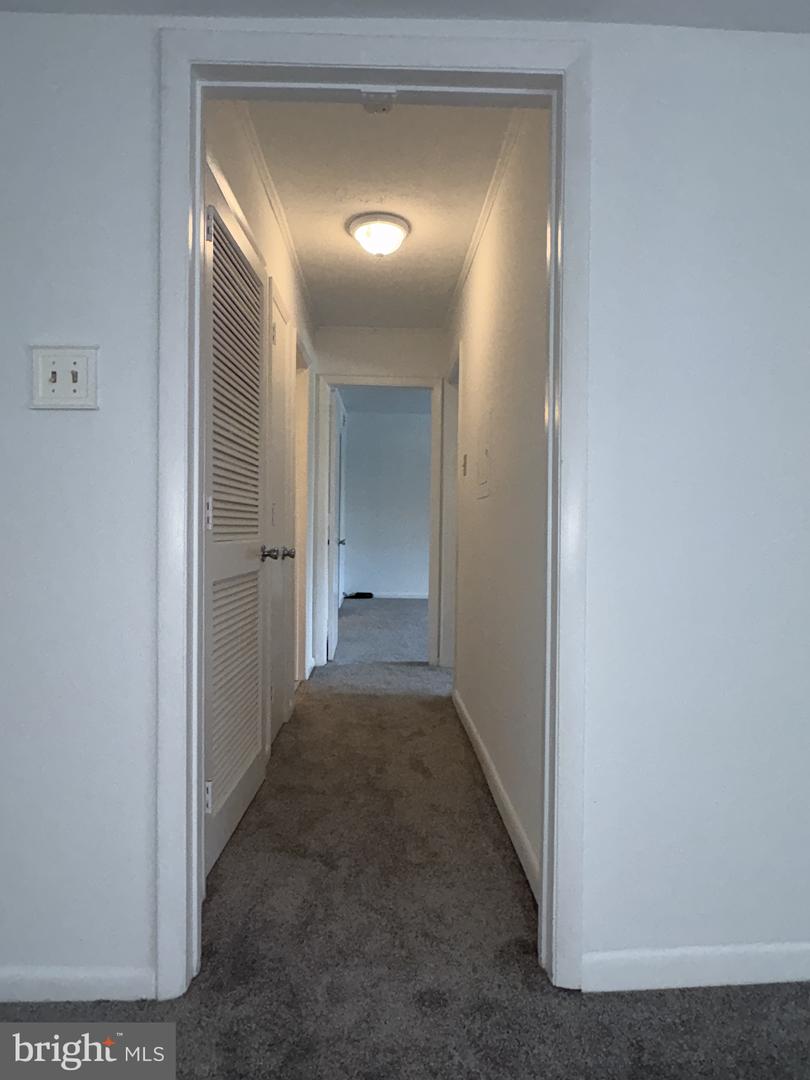 5420 Valley Green Dr #d4 Property Photo 16