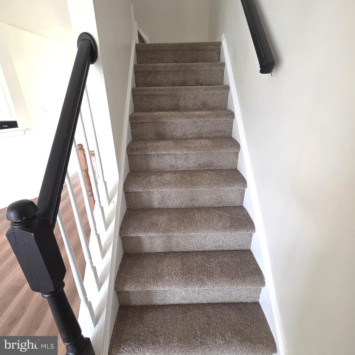 3 Paynter St Property Photo 19