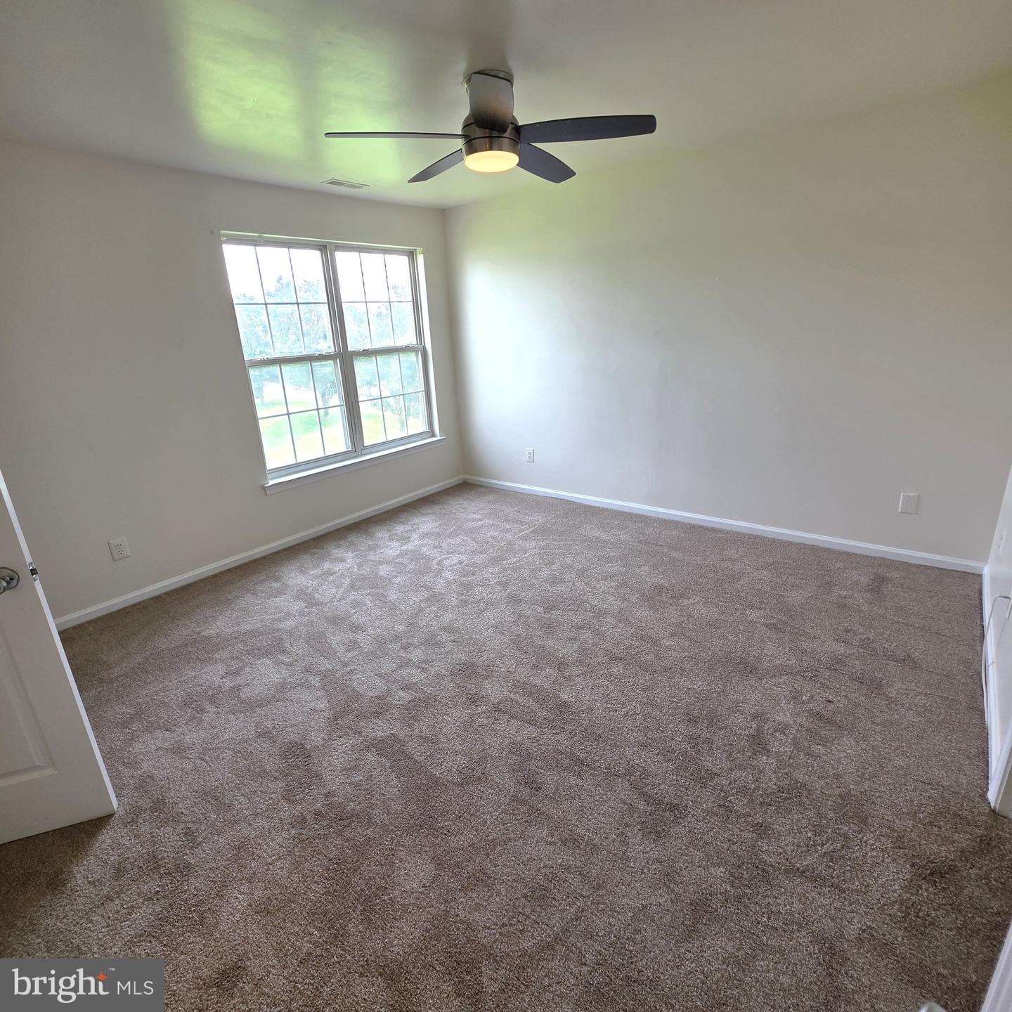 3 Paynter St Property Photo 20