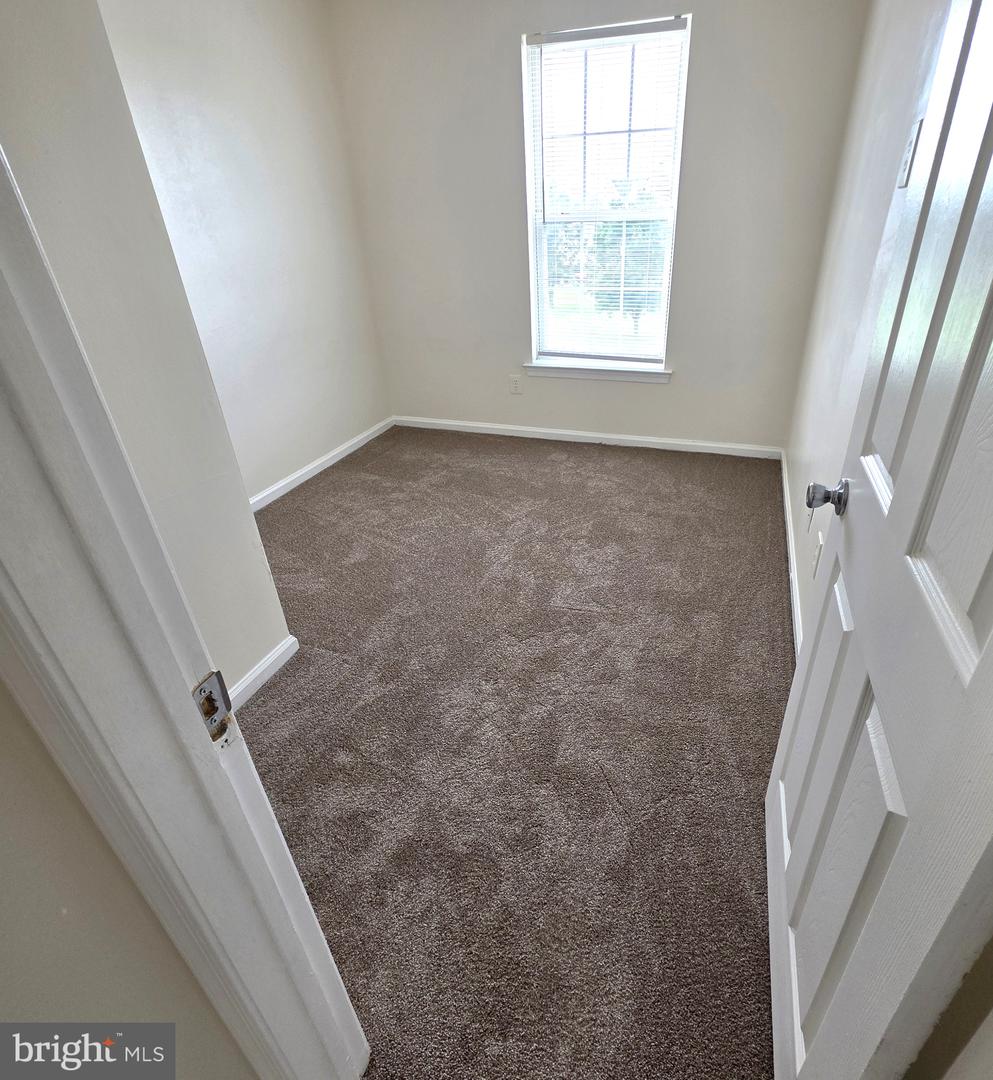 3 Paynter St Property Photo 27