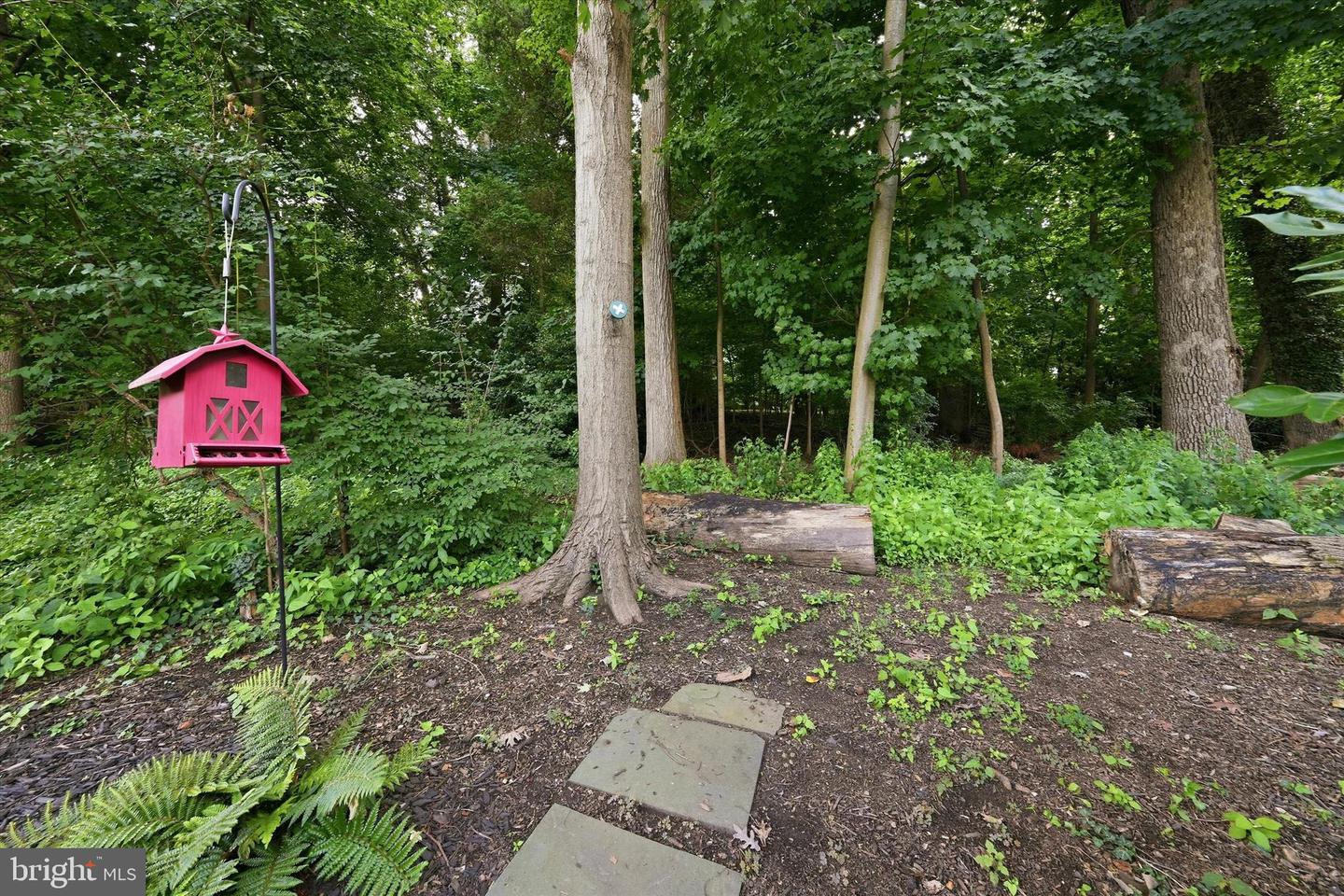 45 Hill Rd Property Photo 58