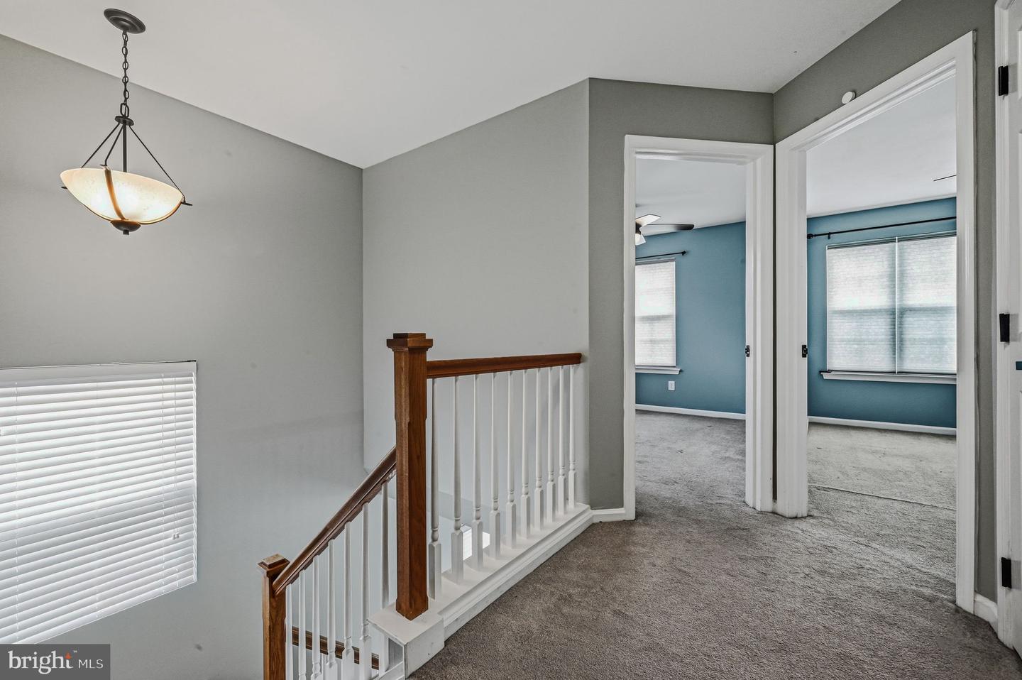 41 Carrick Ln Property Photo 19