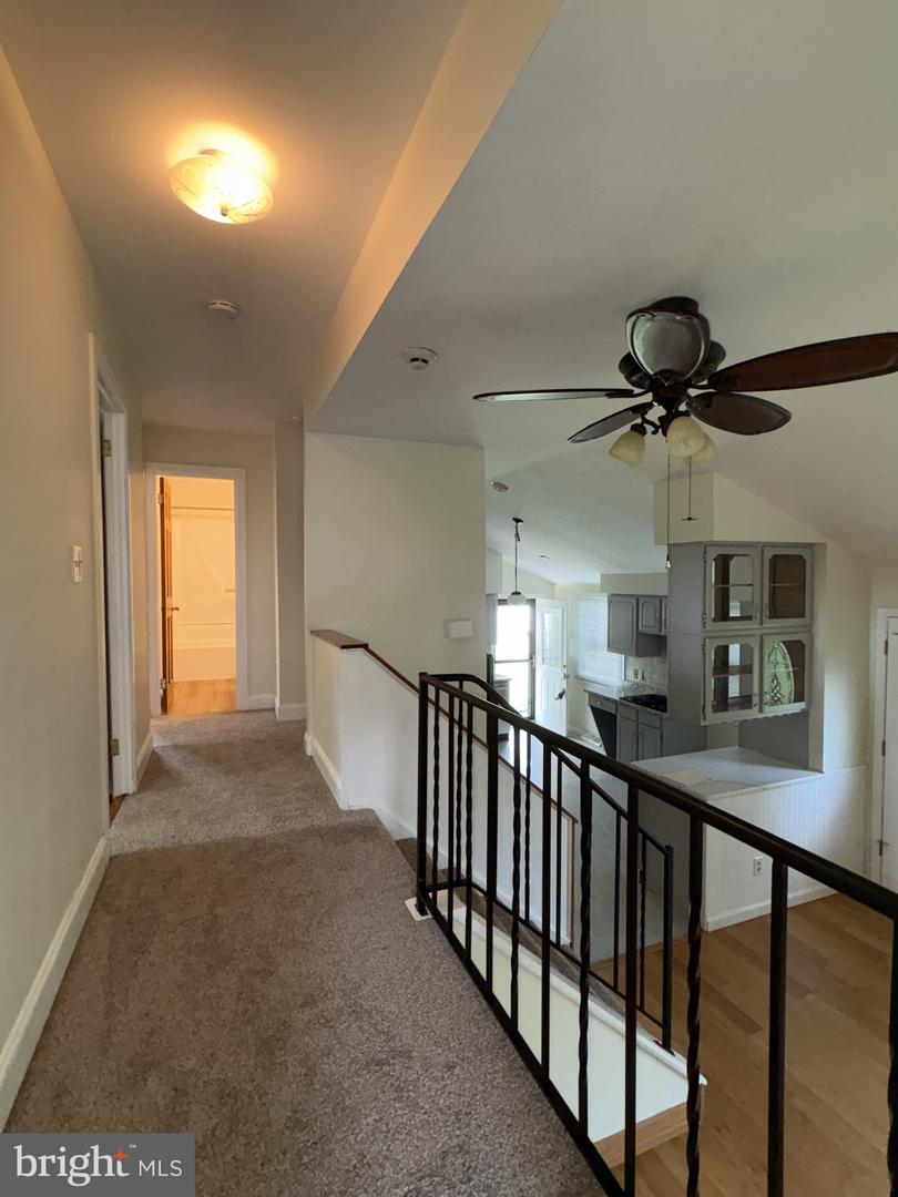 3 Radnor Rd Property Photo 19