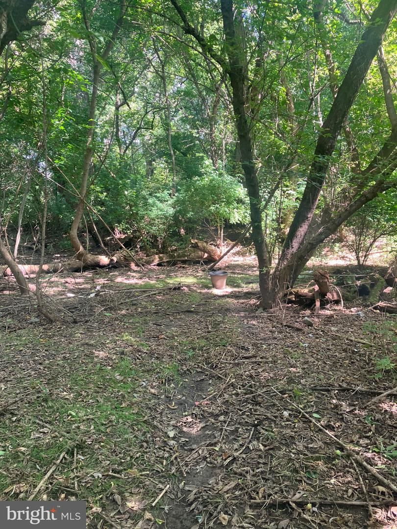 51 Buttonwood Property Photo 2