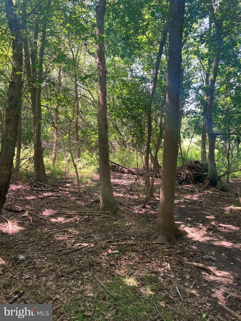 51 Buttonwood Property Photo 3