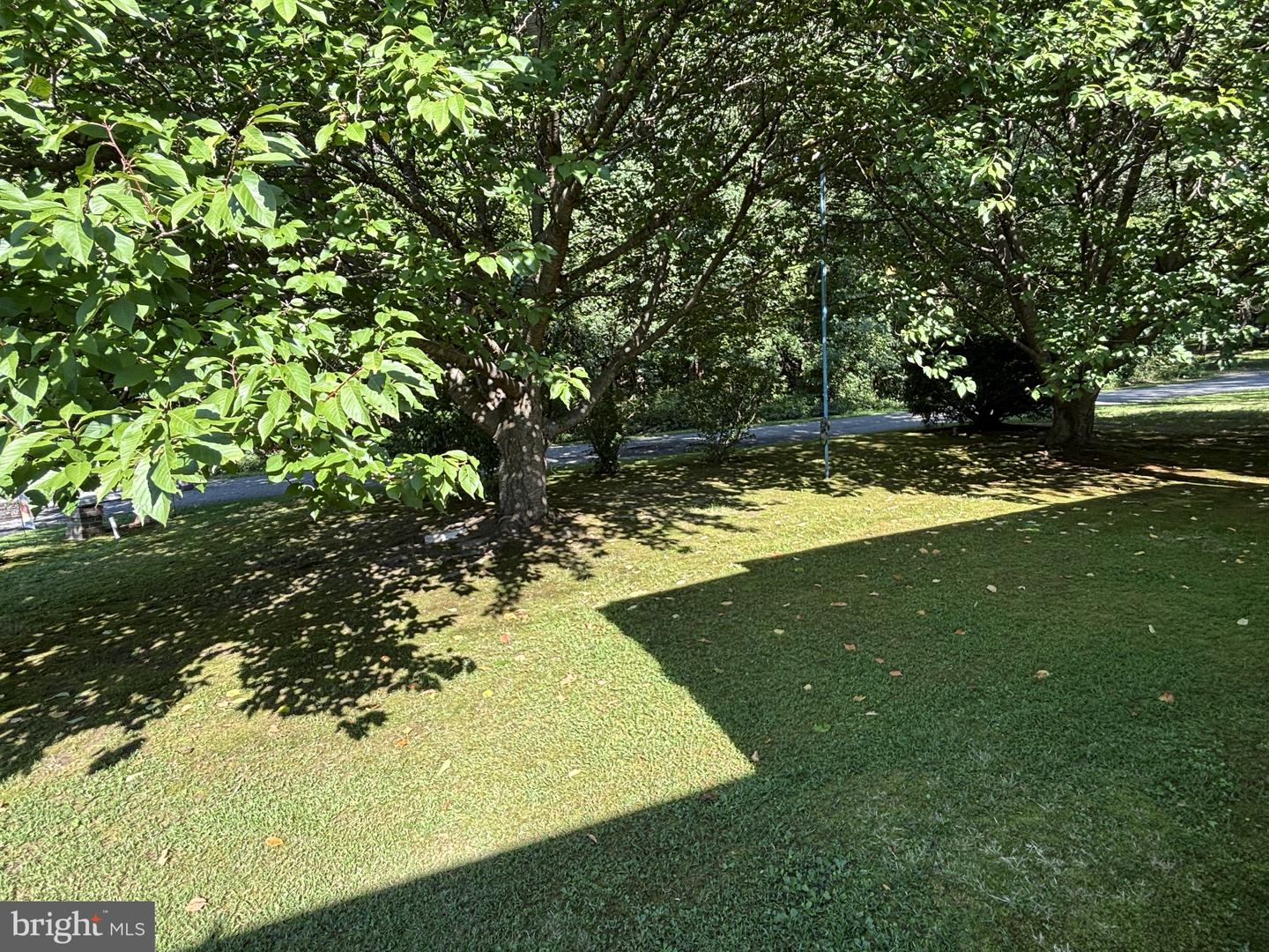 7 Pine Tree Ln Property Photo 57