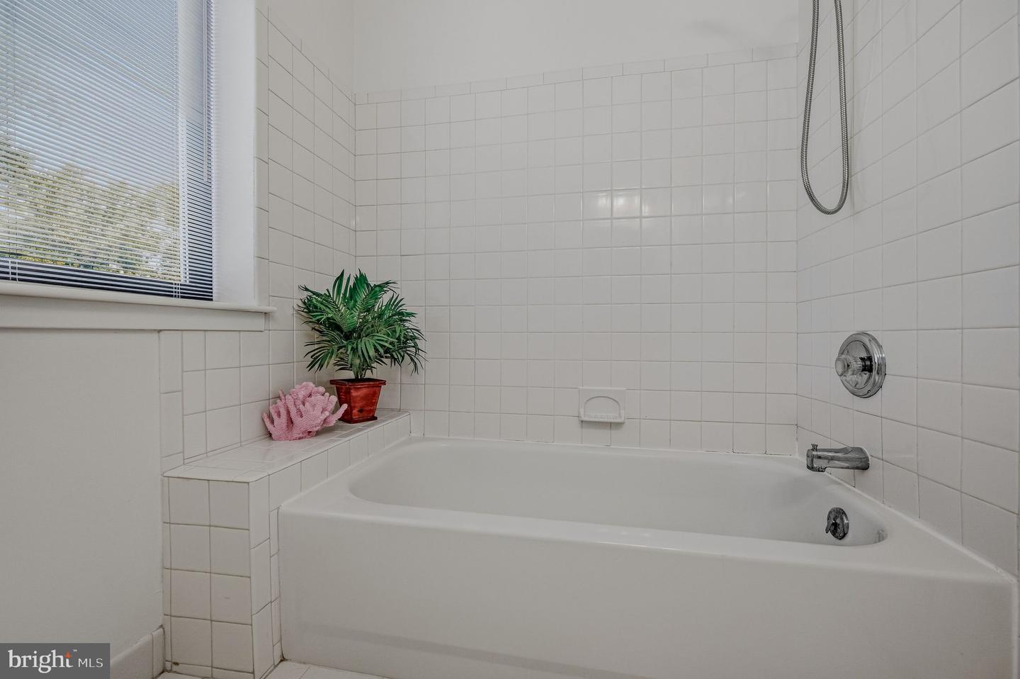 133 Paladin Dr #133 Property Photo 21