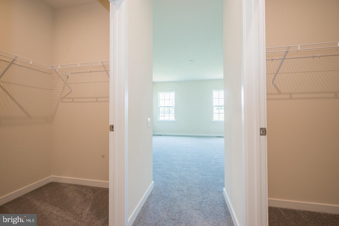 450 Bellflower Way #whitfield Plan Property Photo 17