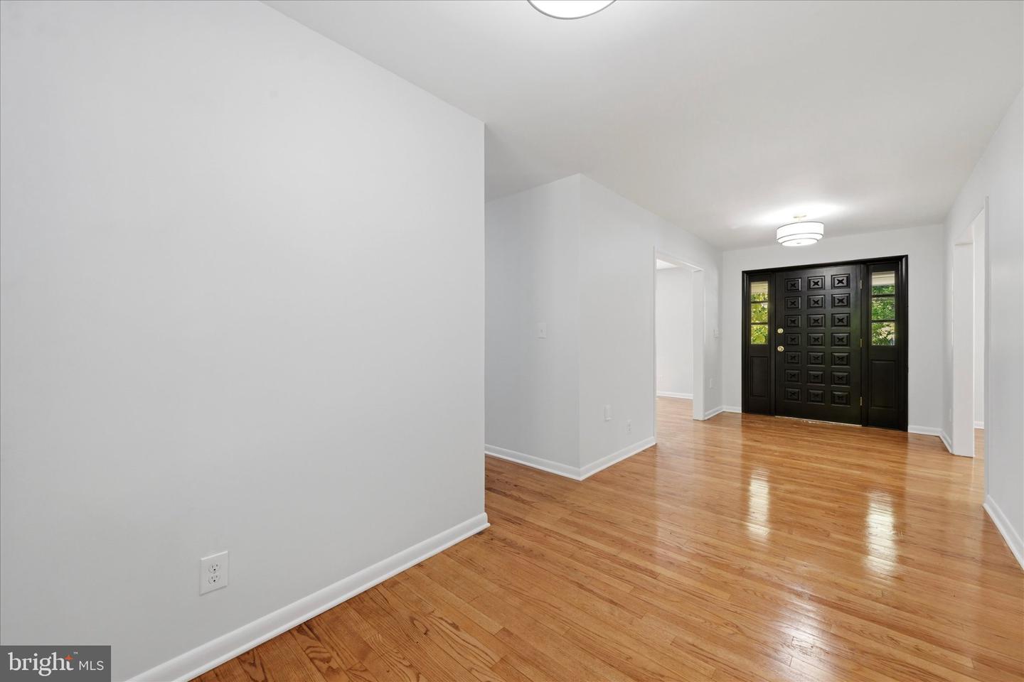 103 Baynard Blvd Property Photo 4