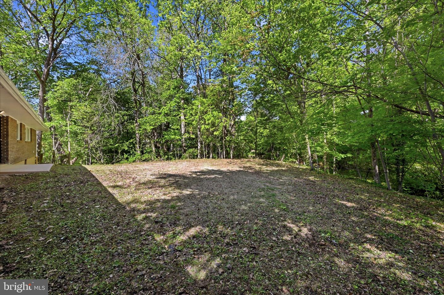 103 Baynard Blvd Property Photo 34
