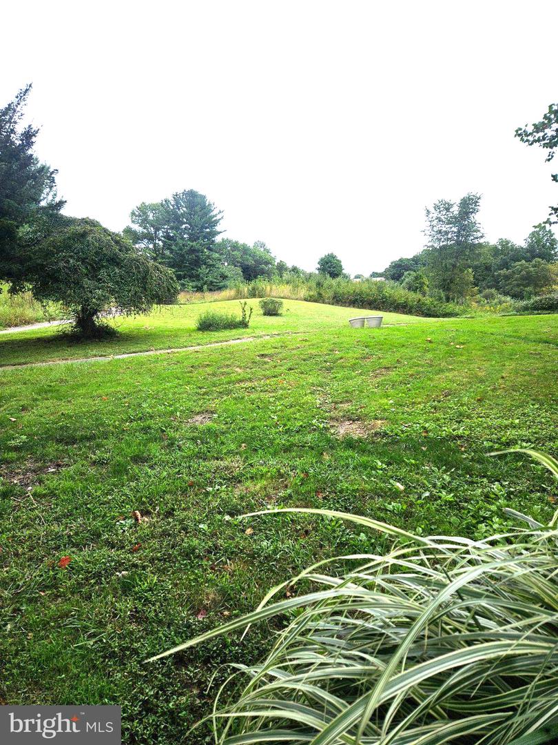 4911 Plum Run Ct Property Photo 32