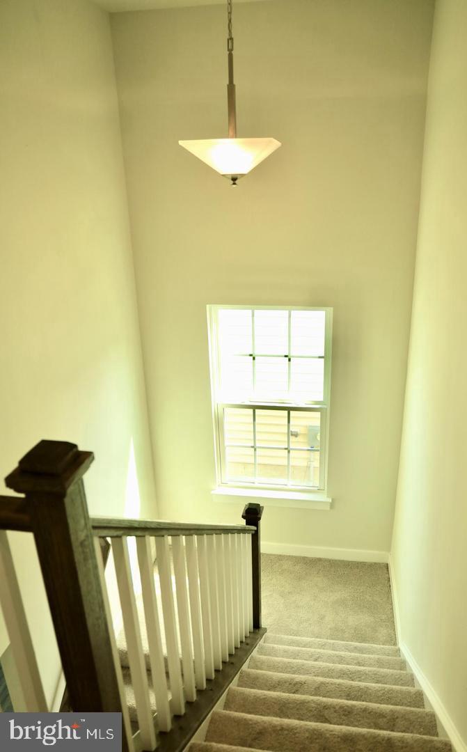 1331 Darling Dr Property Photo 9