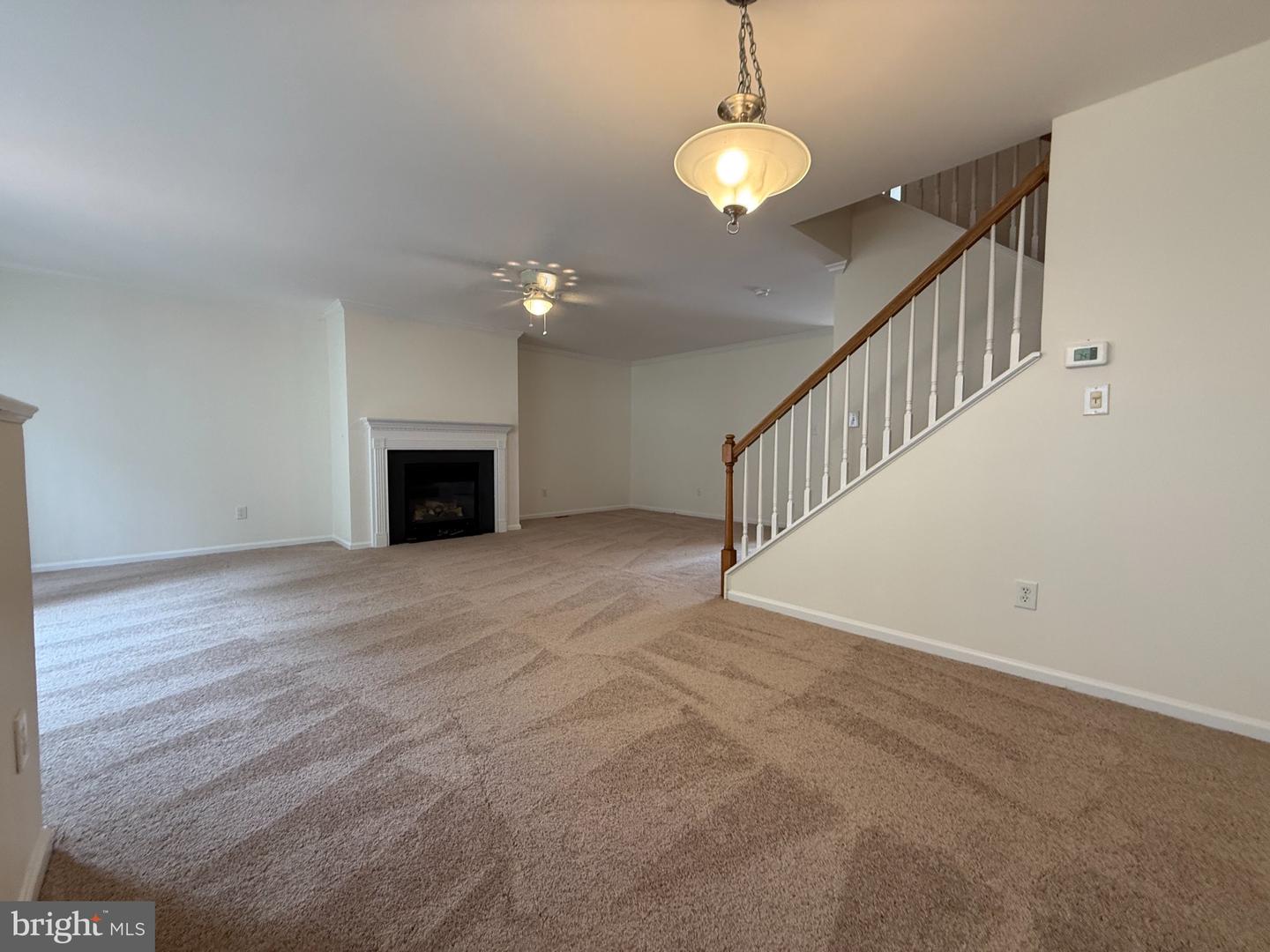 216 Beckington Ct Property Photo 19