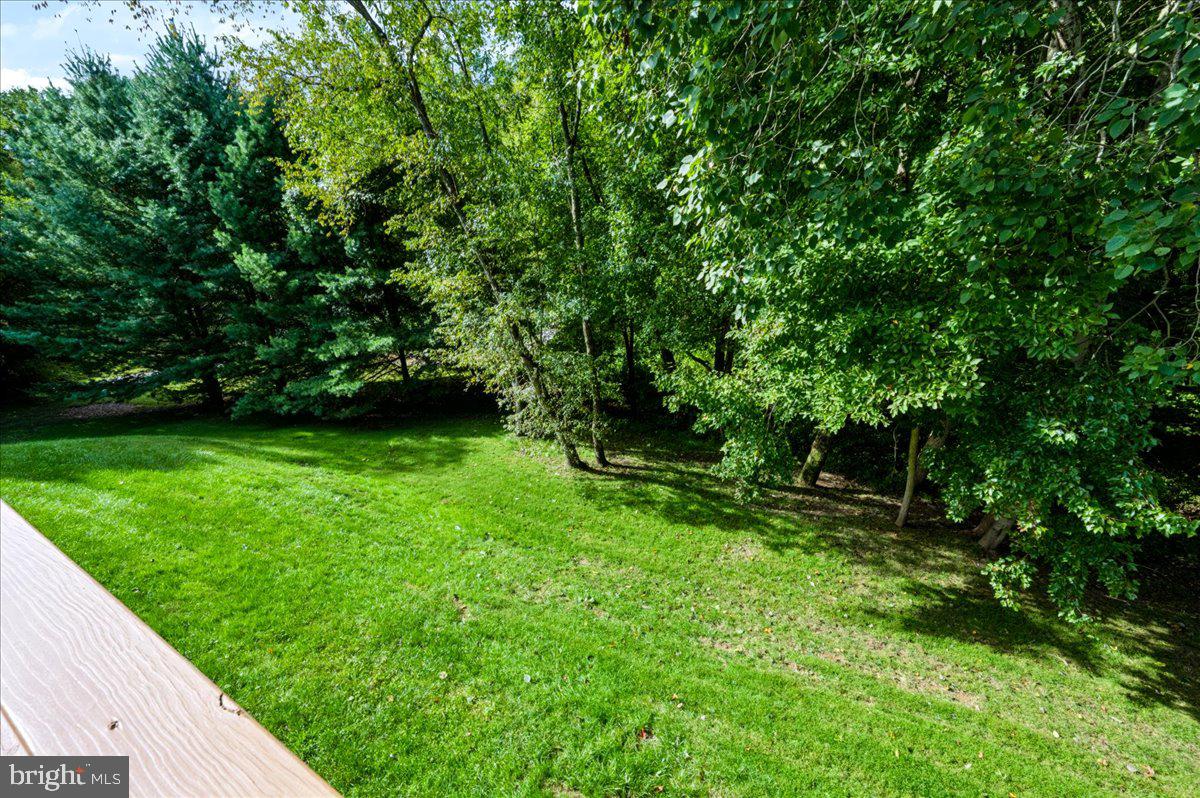 405 Wilson Ct Property Photo 30