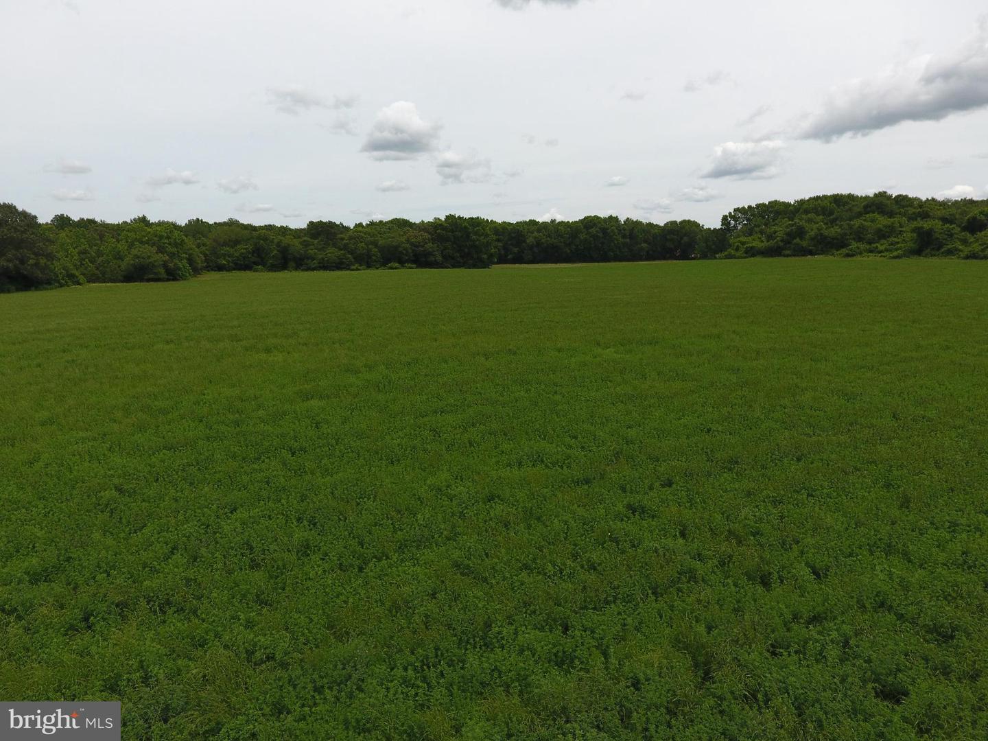 12423 Sussex Hwy Property Photo 3