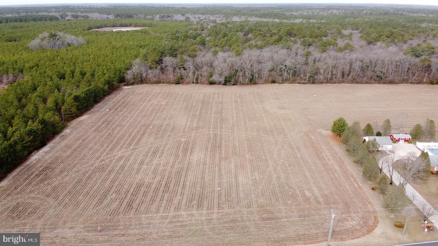 21063 Wilson Rd Property Photo 2