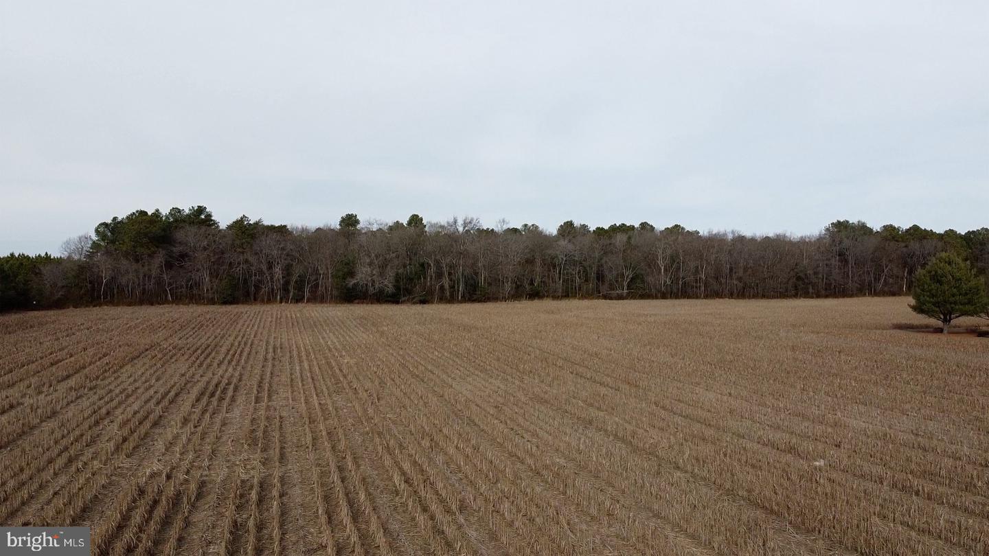 21063 Wilson Rd Property Photo 3