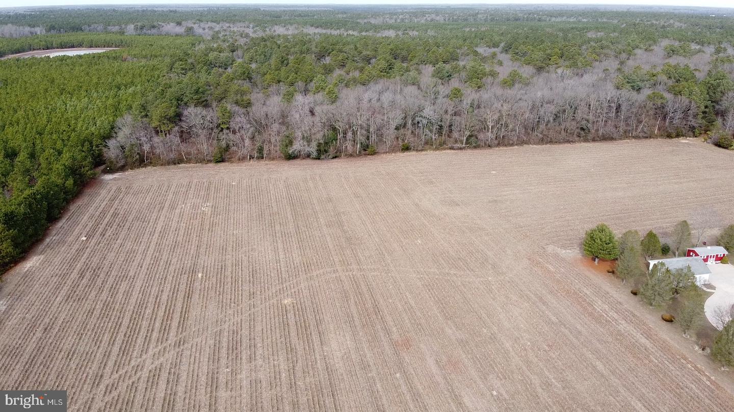 21063 Wilson Rd Property Photo 8