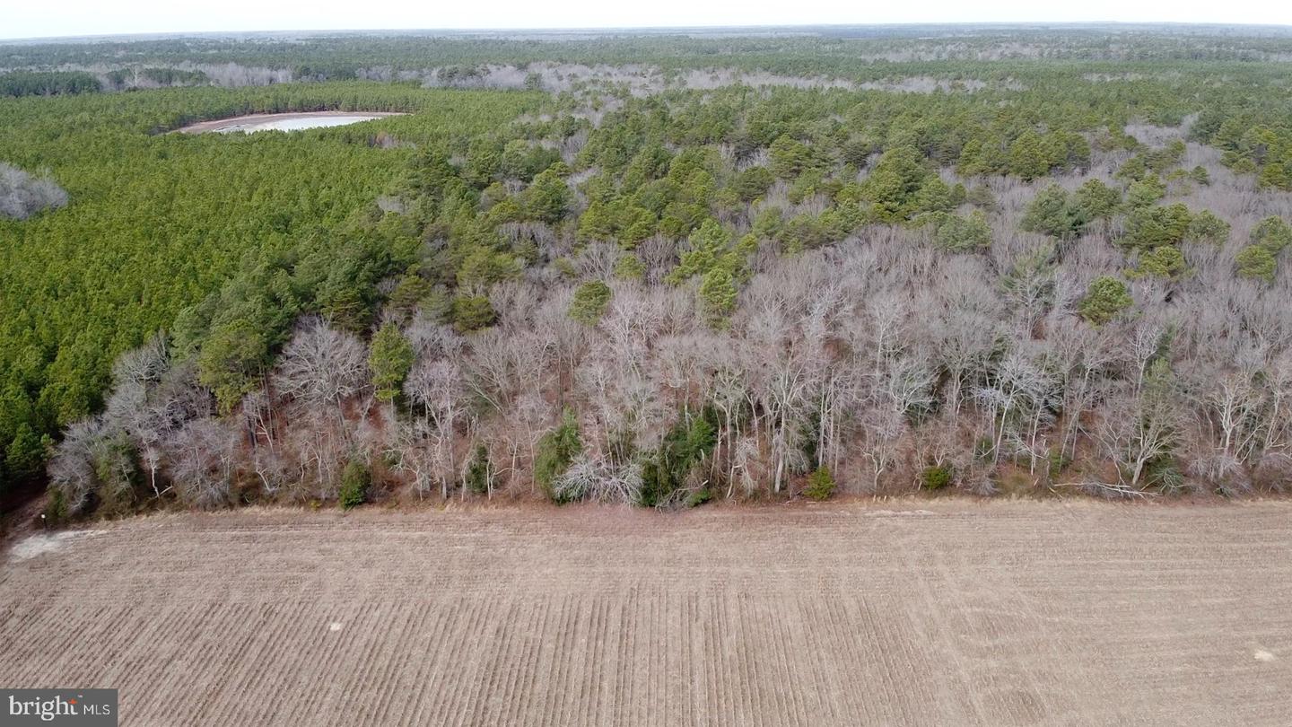 21063 Wilson Rd Property Photo 11