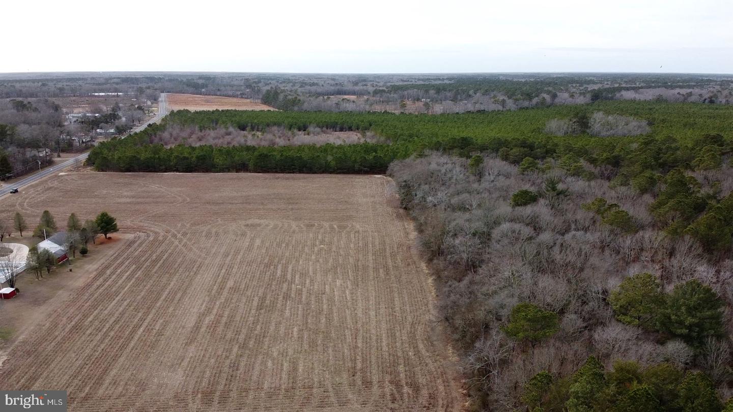 21063 Wilson Rd Property Photo 14
