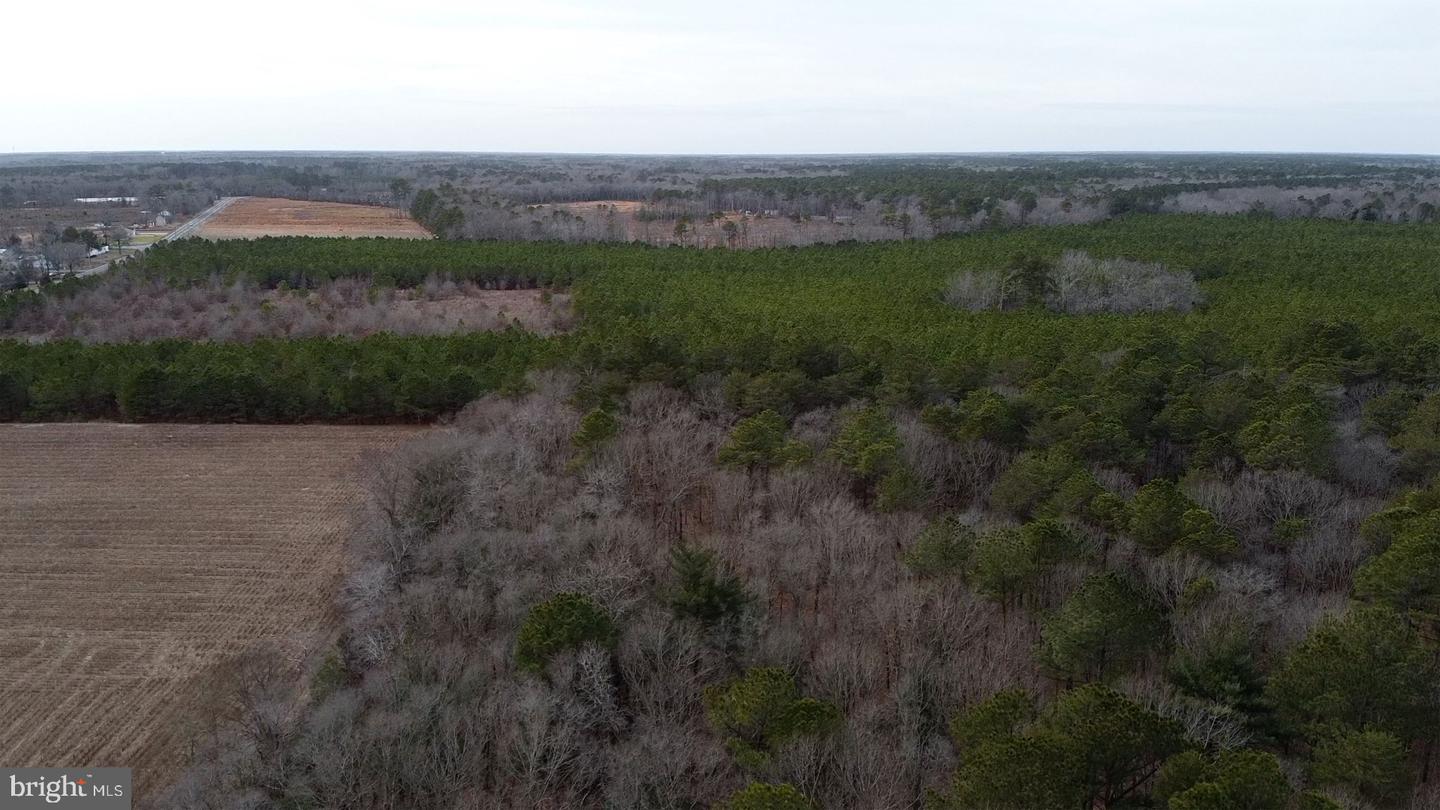 21063 Wilson Rd Property Photo 16