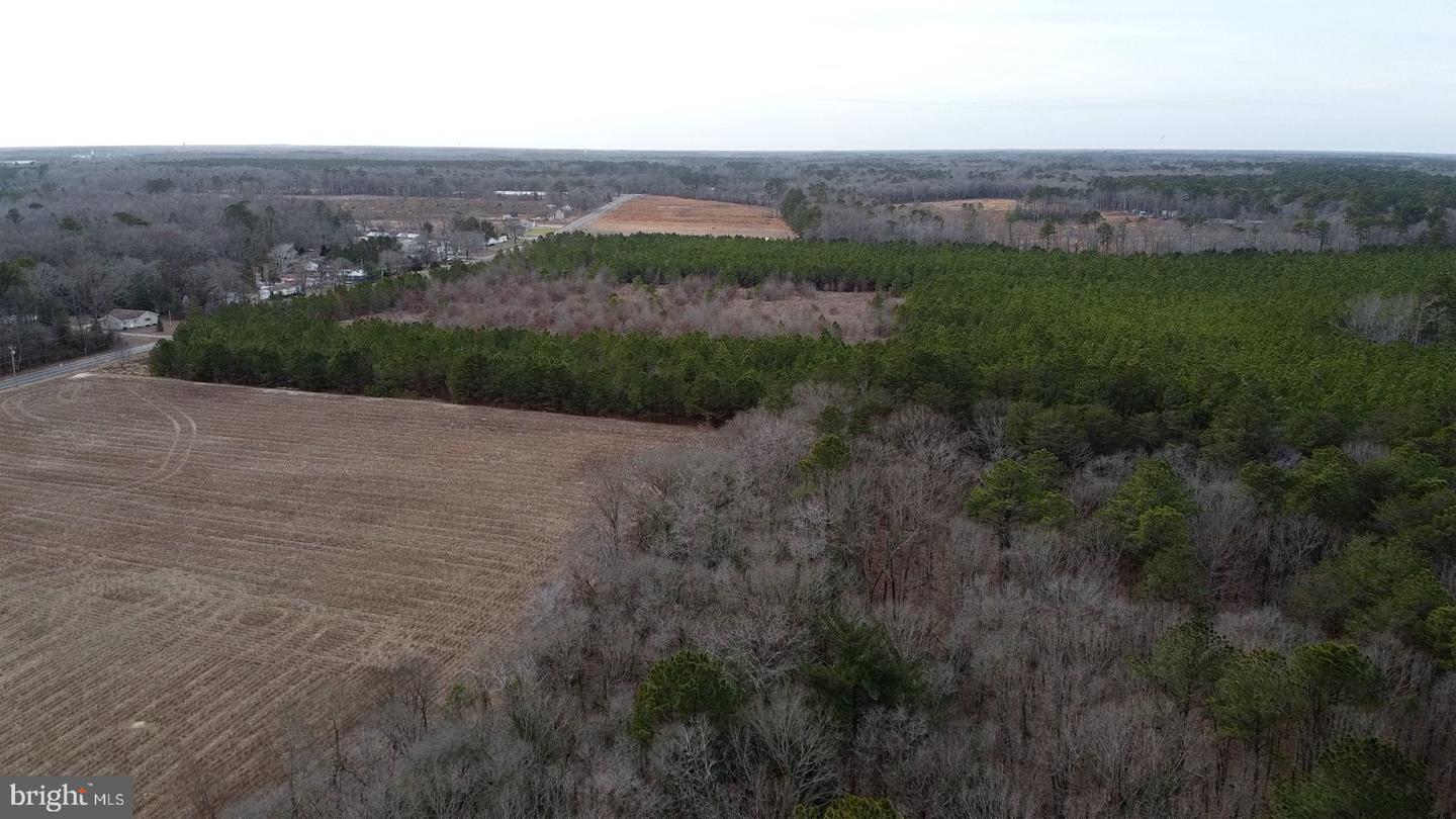 21063 Wilson Rd Property Photo 17