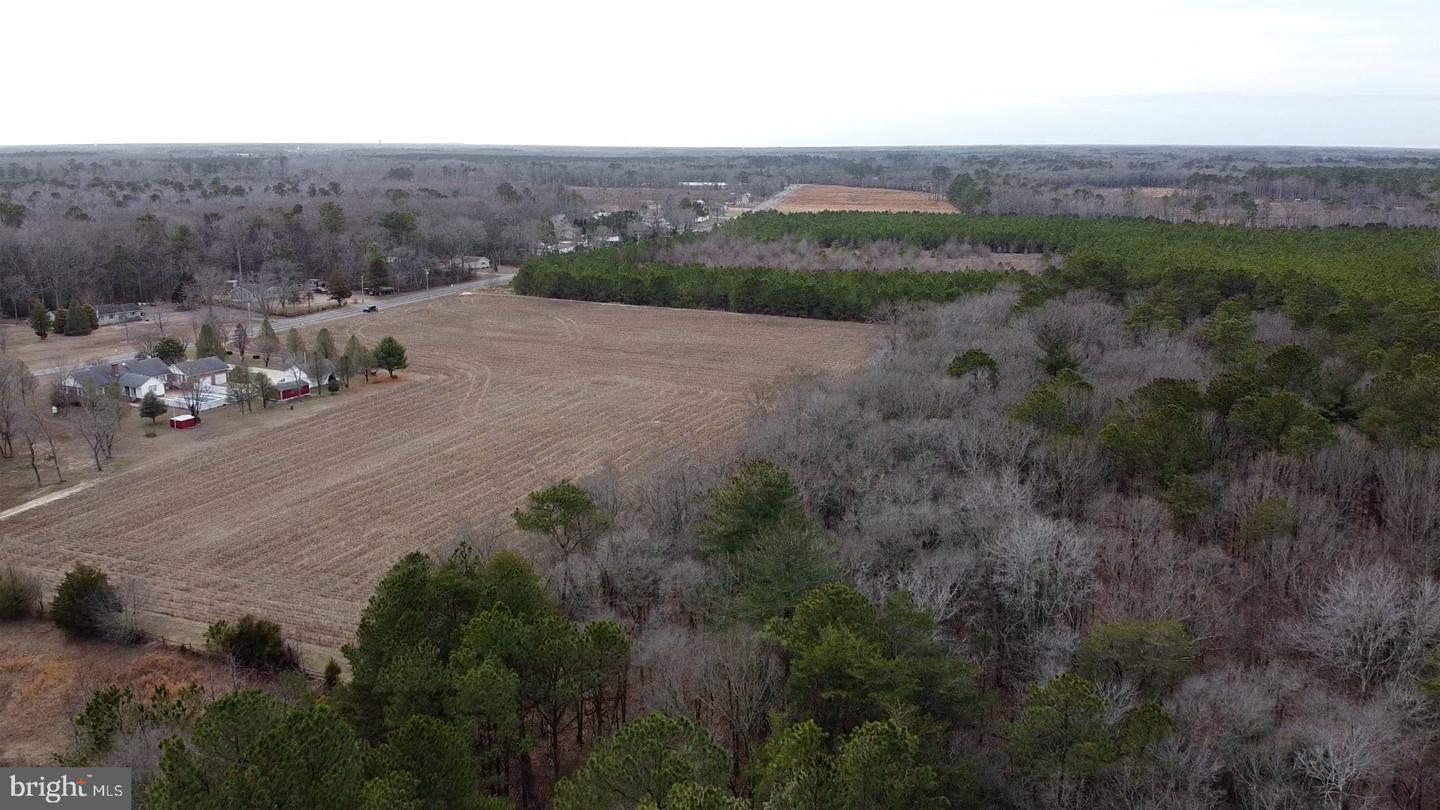 21063 Wilson Rd Property Photo 24