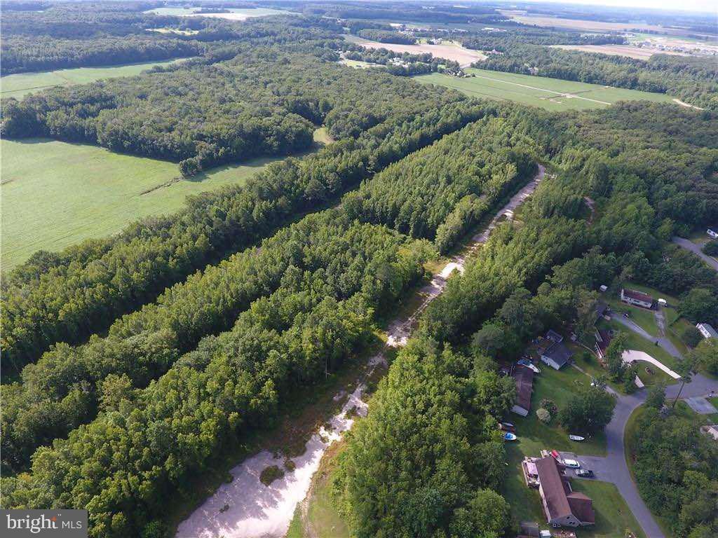 54 Lots Hampden Park Property Photo 2