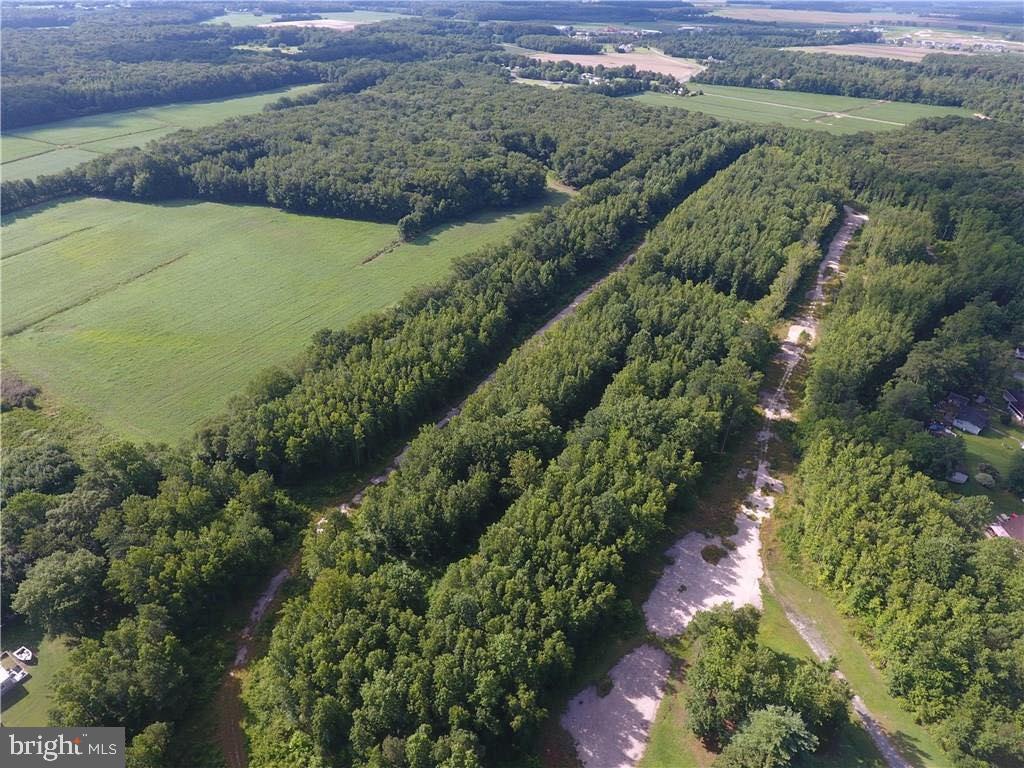 54 Lots Hampden Park Property Photo 3